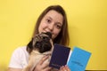 Pug dog with veterinary passport immigrating or ready for a vacation Royalty Free Stock Photo