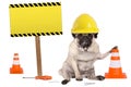 Pug dog with yellow constructor worker safety helmet and cone, plus warning sign on wooden pole Royalty Free Stock Photo