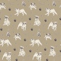 Pug dogs and vintage fashion accessories. Hand drawn vector sketch seamless pattern Royalty Free Stock Photo