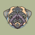 Pug with ethnic floral ornaments for adult coloring book. Royalty Free Stock Photo