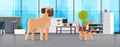 Pug and French Bulldog standing together human friend home pet concept modern living room interior cartoon animals