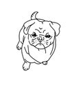 Pug Line Art Black and White