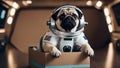A pug puppy astronaut with a comically sad face, sitting in a cardboard box spaceship