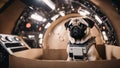 A pug puppy with a comically sad face, sitting in a cardboard box spaceship with drawn-on control panel