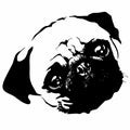 Pug Puppy Dog Portrait Black and White Vector