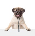 Pug puppy with eyeglasses and with a stethoscope on his neck peeks out from behind a banner. isolated on white background