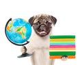 Pug puppy holding books and globe. isolated on white background Royalty Free Stock Photo