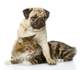 Pug puppy hugs a cat.