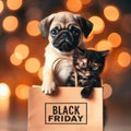 Pug puppy hugs kitten and holds shopping bag with black friday text. isolated on white background Royalty Free Stock Photo