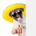 Pug puppy with retro microphone in sunglasses peeking from behind empty board and showing thumbs up. isolated on white background