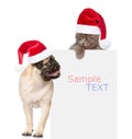 Pug puppy and small kitten with red Santa Claus hats above white Royalty Free Stock Photo