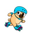 Pug with rollerblades and helmet