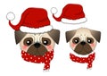 Pug Santa Claus Dog with Red Scarf. isolated on White Background. Vector Illustration Royalty Free Stock Photo