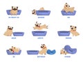 Pug set. Learning preposition concept. Animal above and behind