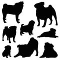 Pug silhouette vector illustration set Royalty Free Stock Photo
