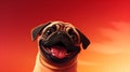 Pug-tastic Comedy: Comical Image of a Playful Pug Dog