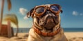 Pug-tastic Fun Smiling Pug Dog in Sunglasses Posing with a Playful Expression on the Sandy Beach. Generative AI