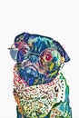 Pug wearing glasses Abstract Rainbow Painting