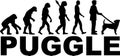 Puggle Evolution silhouette Royalty Free Stock Photo