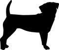 Puggle silhouette Royalty Free Stock Photo