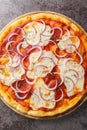 Pugliese Pizza a basic pizza dough is topped with tomato sauce, mozzarella, and red onion closeup on the wooden board. Vertical Royalty Free Stock Photo