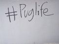 Puglife Graffiti