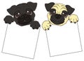 Pugs with clean plate
