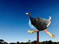 A Pukeko bird sign with a blue sky background.