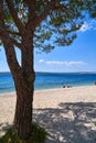 Gravel beach iGravel beach in n the sunshine with a tree trunk in the foreground and a bather reading on the shore of the Adriatic