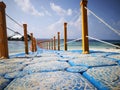 Pulau Payar coral garden beach Royalty Free Stock Photo