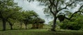 Pulau Rinca - Parc National Komodo - Place to rest