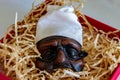 The Pulcinella mask,a famous Neapolitan comedy character.