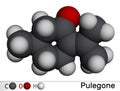 Pulegone molecule. It is natural component of essential oils. Molecular model. 3D rendering