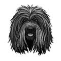 Puli dog portrait isolated on white. Digital art illustration of hand drawn dog web, t-shirt print and puppy food cover design.