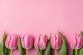 Pink tulip flowers and leaves arrange on pink copyspace background.