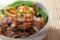 Pulled braised duck loaded ramen soup bowl Royalty Free Stock Photo