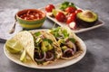 Pulled porc carnitas with avocado and red onion on tortillas. mexican food. Royalty Free Stock Photo