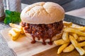 Pulled pork barbecue sandwich with french fries