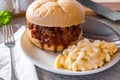 Pulled pork barbecue sandwich with macaroni and cheese