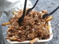 Pulled pork and french fries with cheese sauce