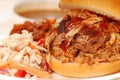 Pulled pork sandwich Royalty Free Stock Photo