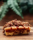 Pulled pork sandwich with brioche bread Royalty Free Stock Photo