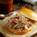 Pulled pork sandwich on a brioche bun Royalty Free Stock Photo