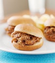 Pulled pork sandwich close up Royalty Free Stock Photo