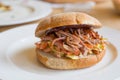 Pulled pork sandwich Royalty Free Stock Photo