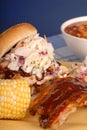 Pulled pork sandwich and ribs Royalty Free Stock Photo