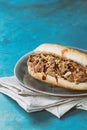 Pulled pork sandwich Royalty Free Stock Photo