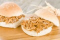 Pulled Pork Slider Royalty Free Stock Photo