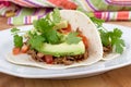 Pulled pork soft taco Royalty Free Stock Photo