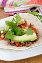 Pulled pork soft taco Royalty Free Stock Photo